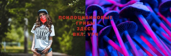 крисы Алексин