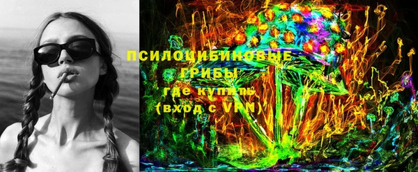 крисы Алексин