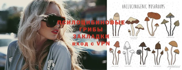 твердый Алзамай